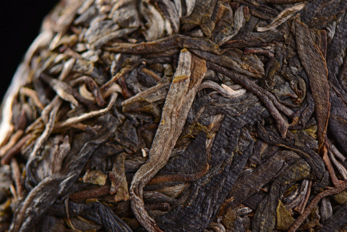 2019 Yunnan Sourcing "Long Tang Gu Shu" Old Arbor Raw Pu-erh Tea Cake | Yunnan Sourcing Tea Shop