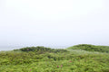 After the Rain No.2 (Horizontal), Nantucket fine art photography by Lauren Marttila