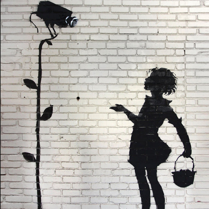 Banksy Flower Girl, Graffiti