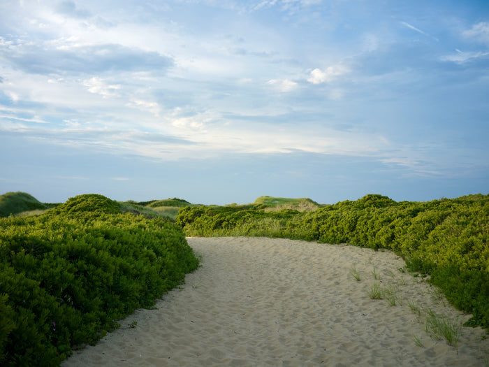 Beyond the Bend, Nantucket fine art photography by Lauren Marttila