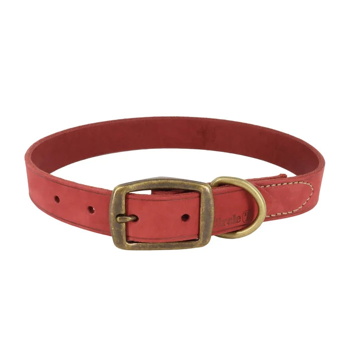 Coastal Pet Products Circle T Rustic Leather Town Dog Collar