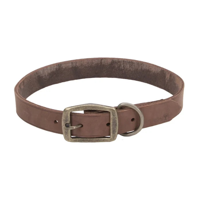 Coastal Pet Products Circle T Rustic Leather Town Dog Collar