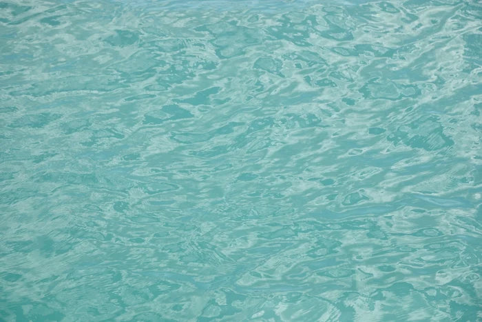 Dive In fine art photography by Lauren Marttila