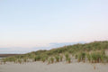 Dunes fine art photography by Lauren Marttila