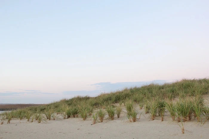 Dunes fine art photography by Lauren Marttila