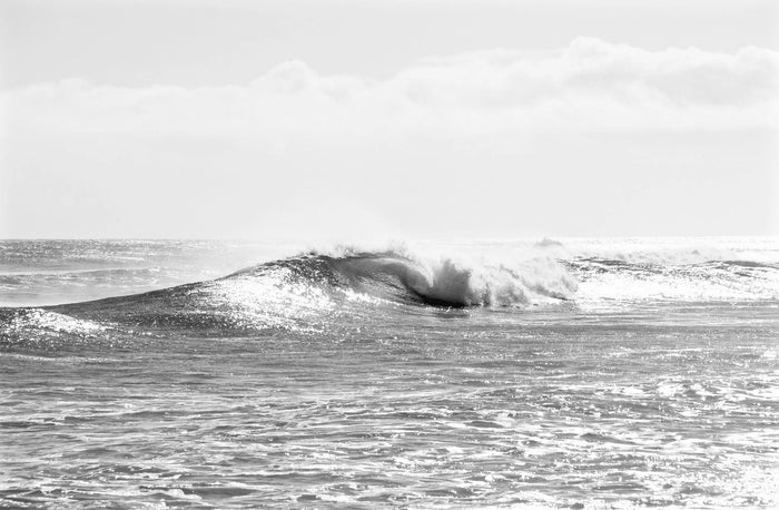 Emoji in the Wild B&W, Nantucket fine art photography by Lauren Marttila