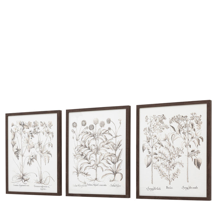 Evergreen Framed Art Set of 3