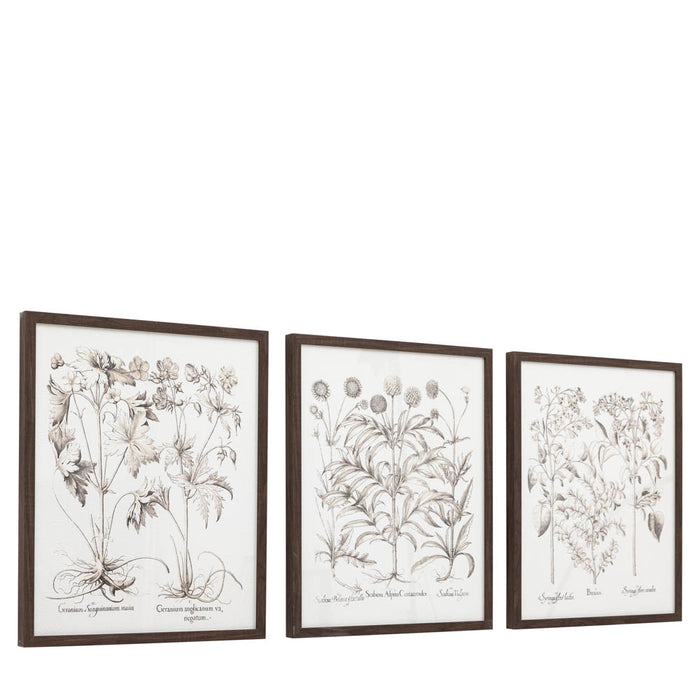 Evergreen Framed Art Set of 3