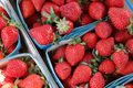 Fraise, Food fine art photography by Lauren Marttila
