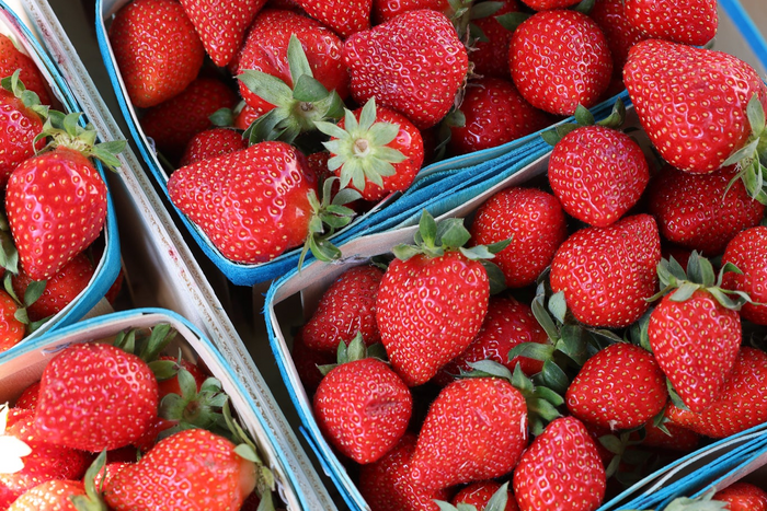 Fraise, Food fine art photography by Lauren Marttila