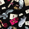 Harry Potter Owl Postal Service - Pre-order Will Arrive by Late Nov. 2025