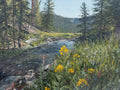 High Uinta Meadows Print