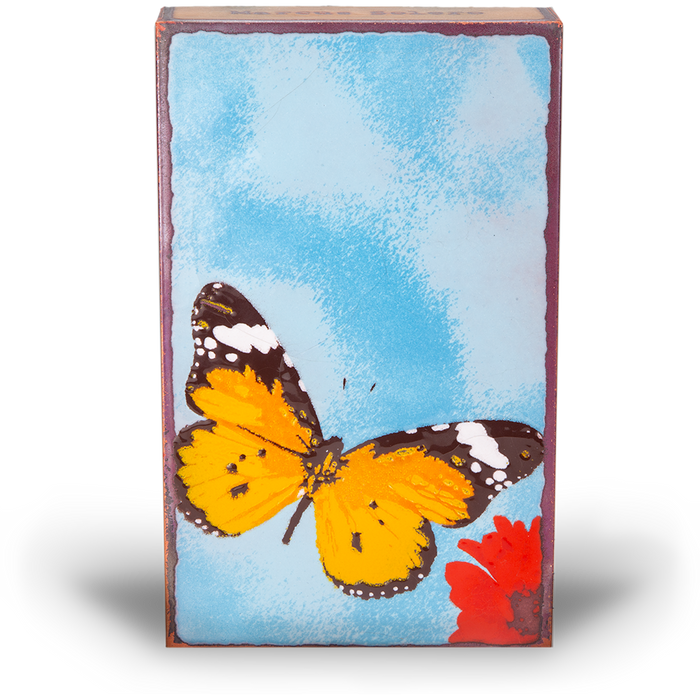 Houston LLew-228 - Chrysalis RETIRED 042025
