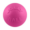 Jolly Pets Bounce-N-Play Dog Toy