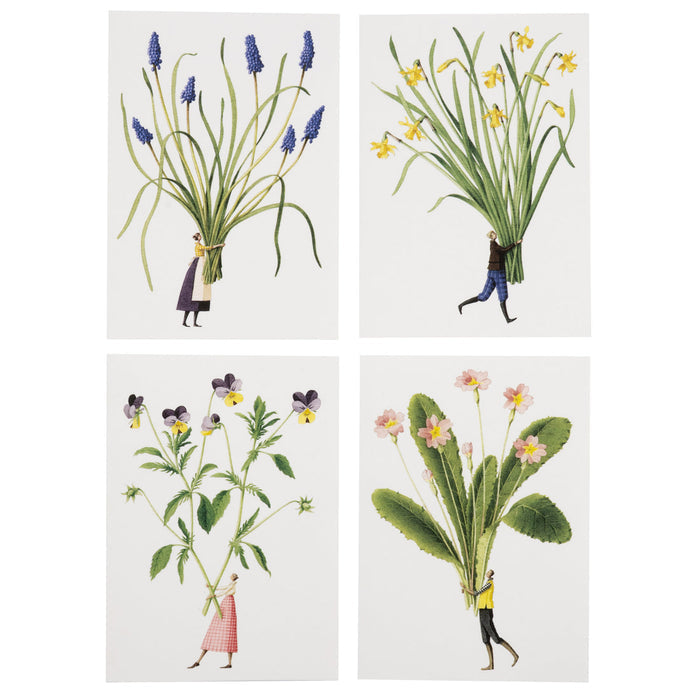 Laura Stoddart - Boxed 8 Card Set "Spring Flowers"