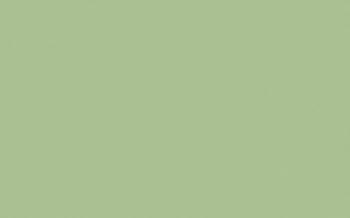Little Greene - Pea Green 91