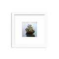 "Nantucket Christmas Dory Shelfie" Shelfie framed coastal print by Lauren Marttila