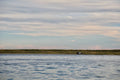 Off Roads, Nantucket fine art photography by Lauren Marttila