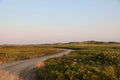 Offseason, Nantucket fine art photography by Lauren Marttila