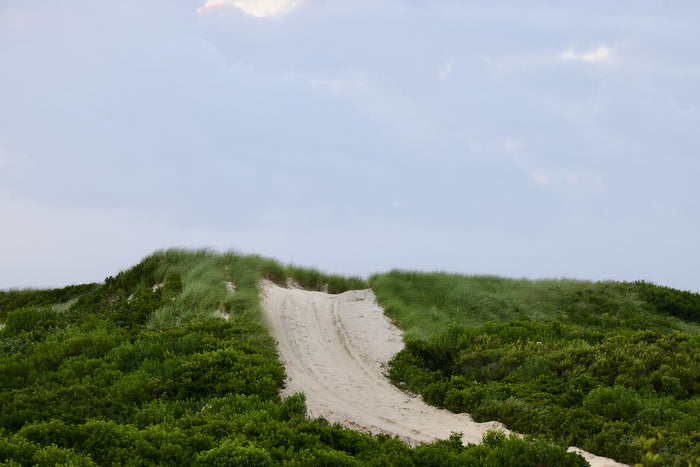 Over the Hill, Nantucket fine art photography by Lauren Marttila