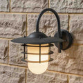 Pacific Centauri Dark Grey and Opaque Glass Wall Light 40-038