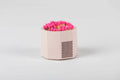 Pale Pink Match Match Holder w/ Striker & Lavender Matches by Tenn Prairie