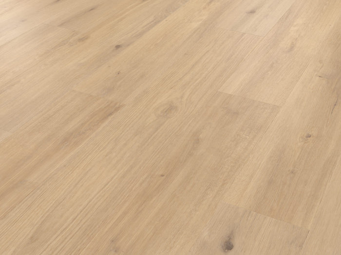 Palio Korlok - Canadian Nude Oak