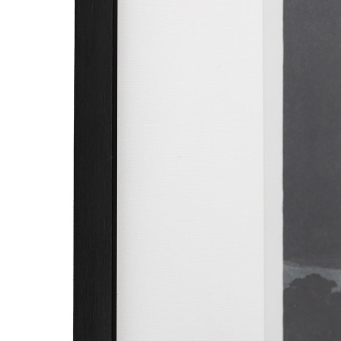 Pellicano Framed Art