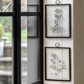 Petiole Art Set of 2