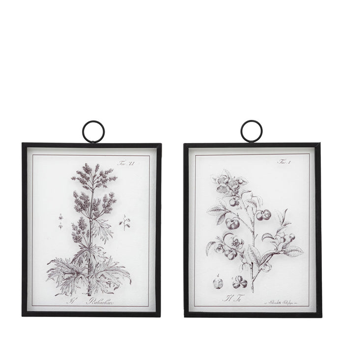 Petiole Art Set of 2