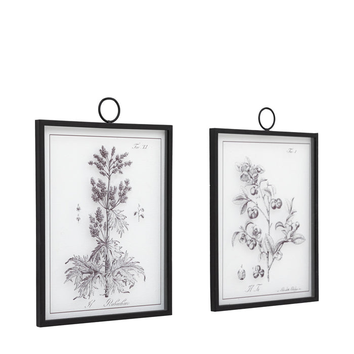 Petiole Art Set of 2