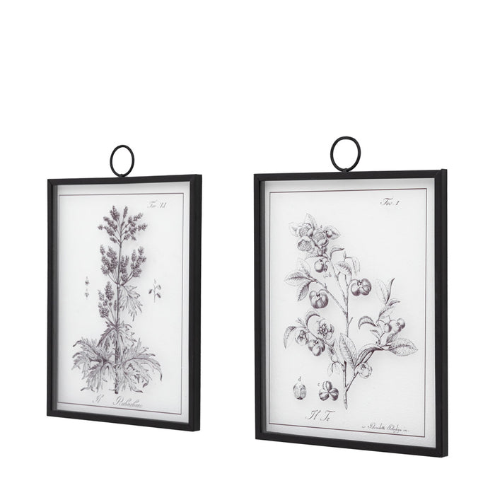 Petiole Art Set of 2