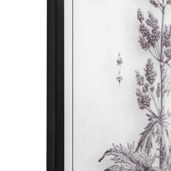 Petiole Art Set of 2