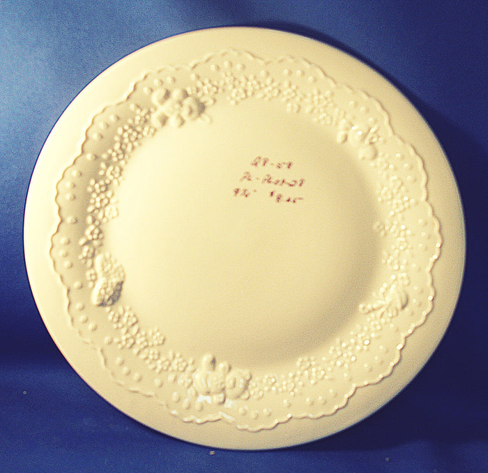 Plate 9"