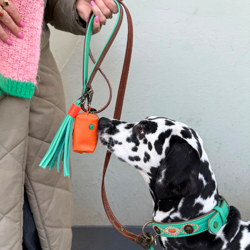 Poepzakjeshouder Buddy – Dog with a Mission