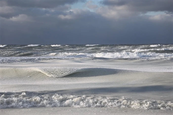 Powdered Sugar fine art photography by Lauren Marttila