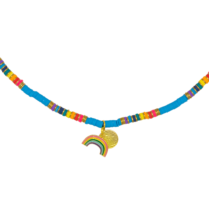 dog-with-a-mission-rainbow-ketting-dog-necklace-alle-maten-dwam