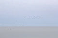 Scatter, Nantucket fine art photography by Lauren Marttila