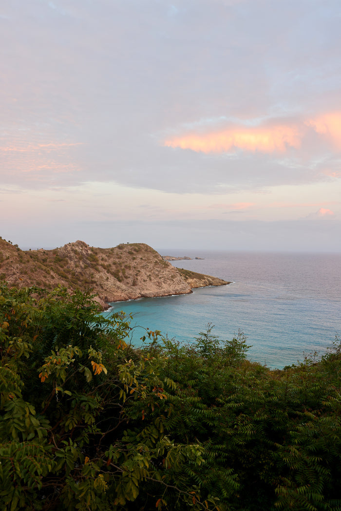 Coastal landscape with greenery and a body of water under a cloudy sky.