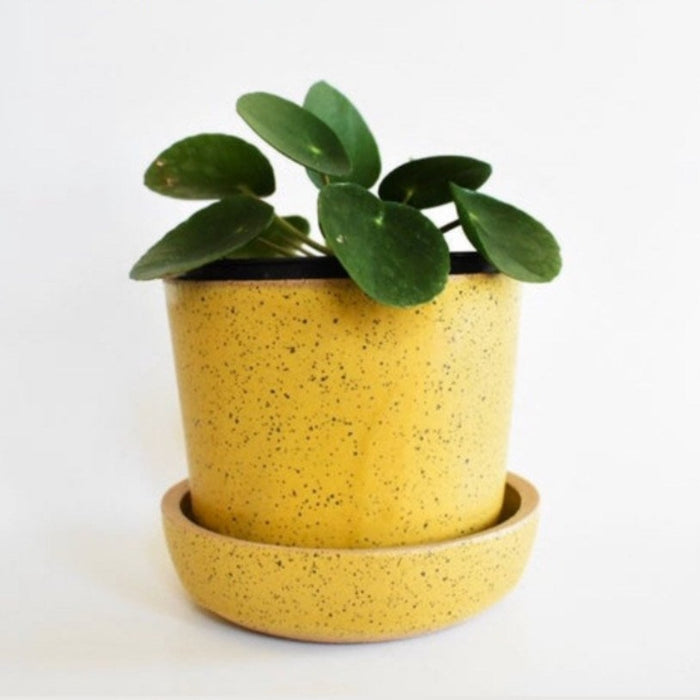 Simple Rounded Planter Set