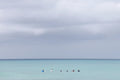 Southern Lineup (Horizontal) fine art photography by Lauren Marttila