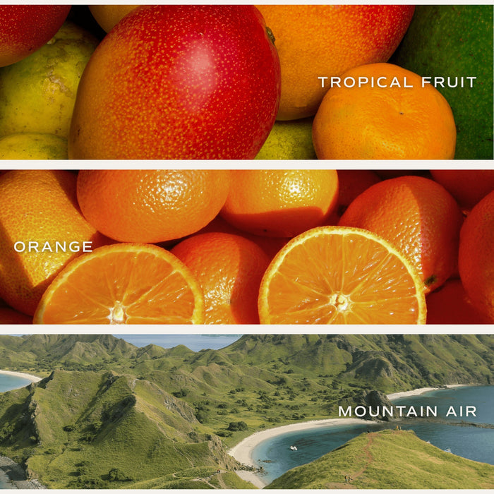 Infographic showing tropical fruit, orange, and mountain air scent notes for candle product