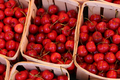 The Cherry on Top, Food fine art photography by Lauren Marttila