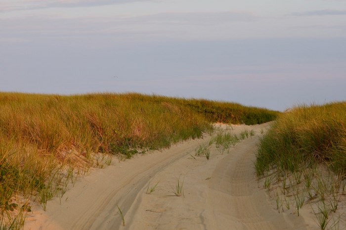 The Golden Path, Nantucket fine art photography by Lauren Marttila