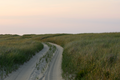 The Journey, Nantucket fine art photography by Lauren Marttila