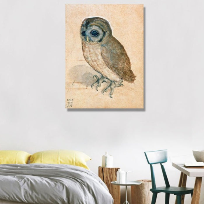 The Little Owl by Albrecht Dürer