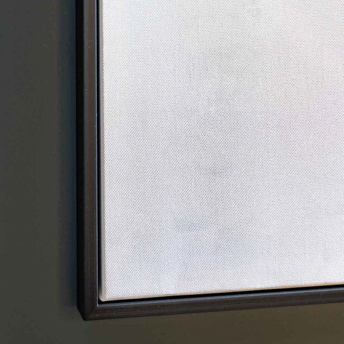 Through the Dimensions I Framed Canvas