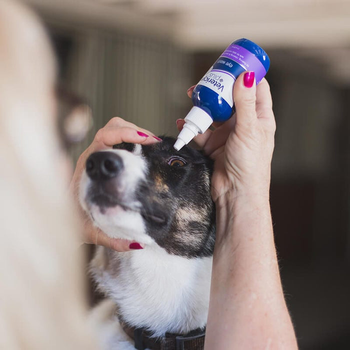 Vetericyn Plus All Animal Eye Wash