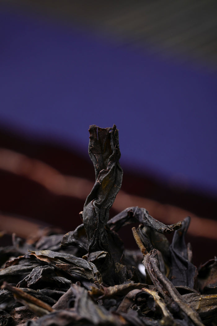 Wu Yi Shan "Classic Rou Gui" Rock Oolong Tea | Yunnan Sourcing Tea Shop