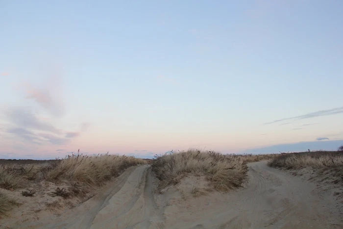 You Choose fine art photography by Lauren Marttila
